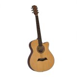 Đàn guitar acoustic Sunny