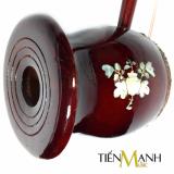 Đàn Hồ Việt Nam TMH30
