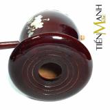 Đàn Hồ Việt Nam TMH30