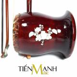 Đàn Hồ Việt Nam TMH30