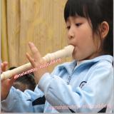 SÁO RECORDER SUZUKI SRG200