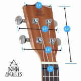 Đàn Ukulele concert Bondi KBD 33A35
