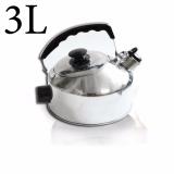 Ấm điện Đạt Tường AG-01 3L