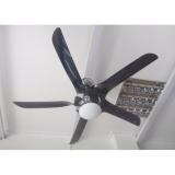 Quạt trần trang trí AlphaFan F430-5B