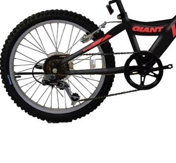 Xe đạp Giant MTX 20