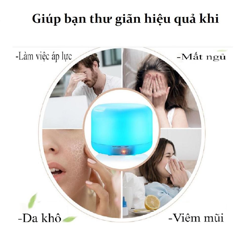 Máy xông mặt bằng hơi nước Benice LD012