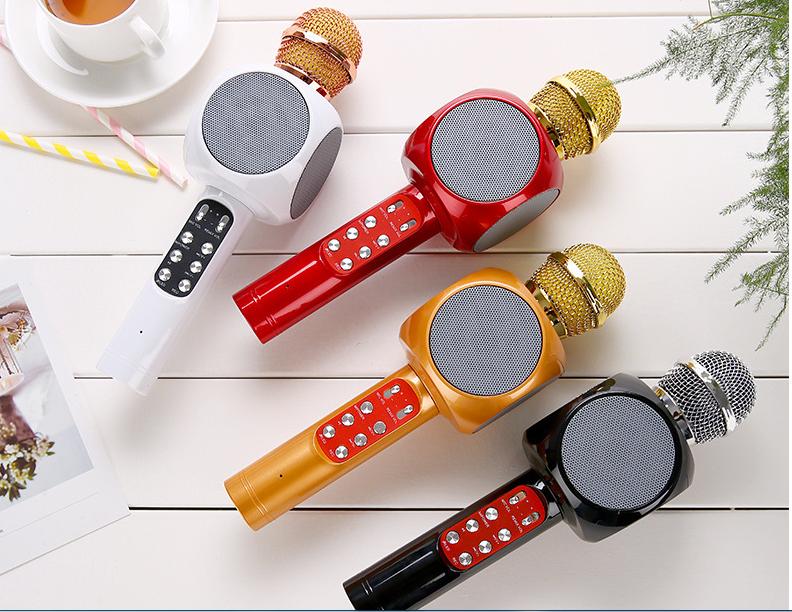 Microphone karaoke kèm loa WS-1816