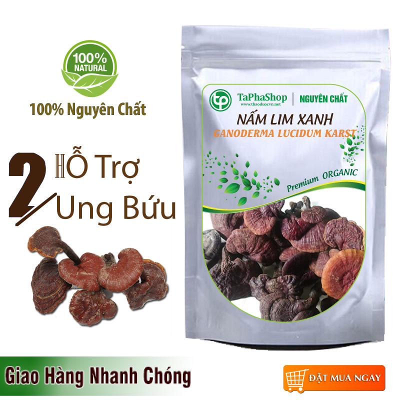Nấm Lim Xanh Nông Lâm Cao Cấp (500g)