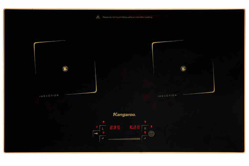 Bếp từ Kangaroo KG438I