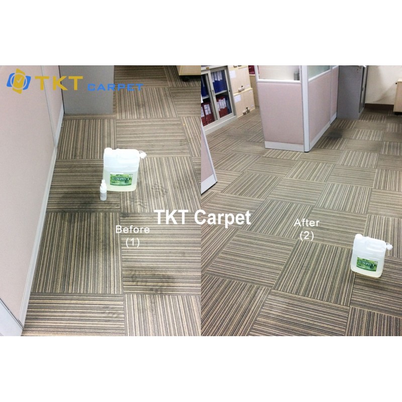 Hóa chất giặt thảm Ecosophy 5L