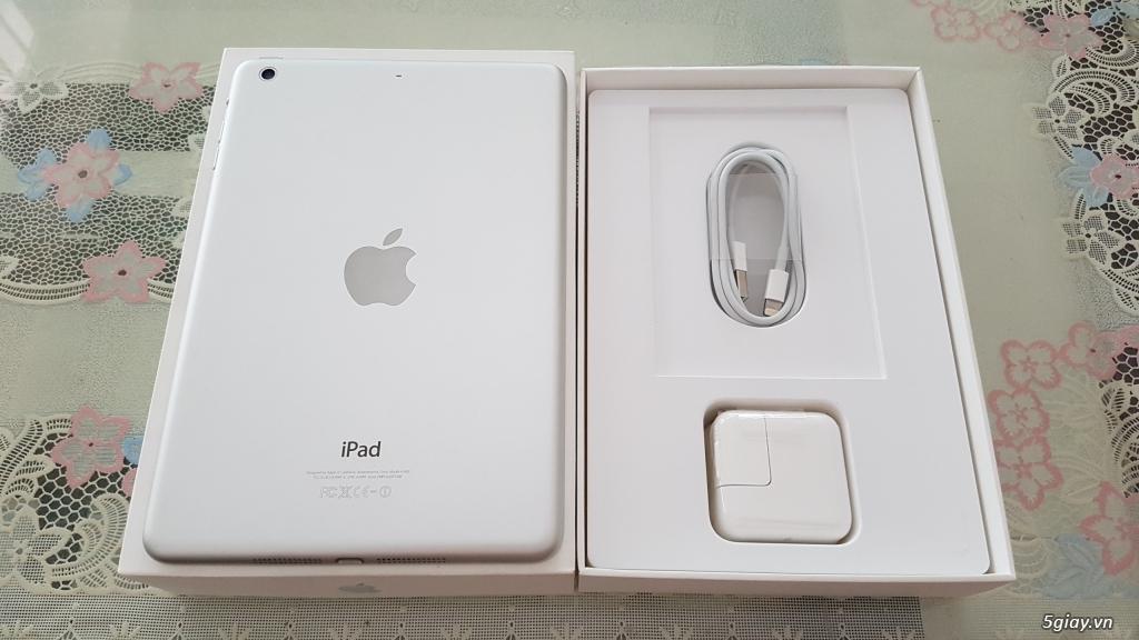 iPad mini 4 16GB 4G