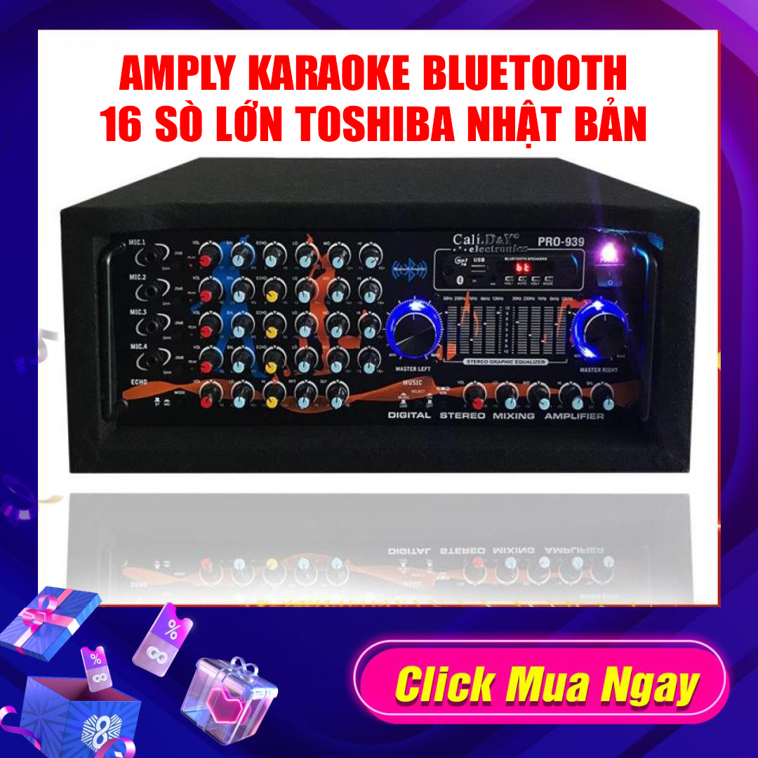 Ampli karaoke Cali.D&Y PRO-939