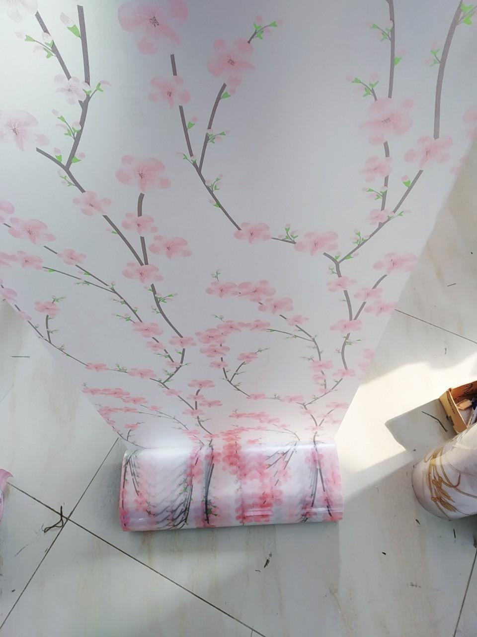Decal hoa đồng tiền đỏ PK111