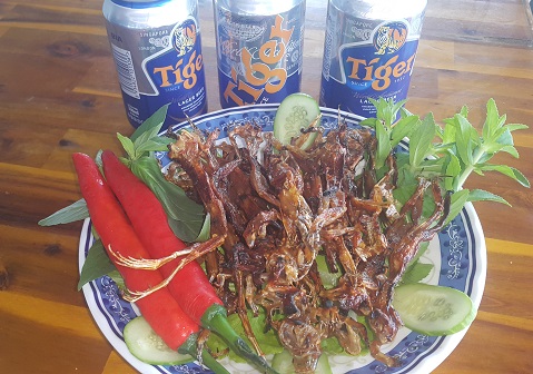 Khô Nhái (Vũ nữ chân dài)