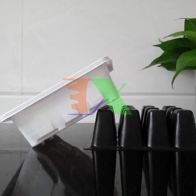 Bộ khay ươm cây, khay ươm hạt, vỉ ươm