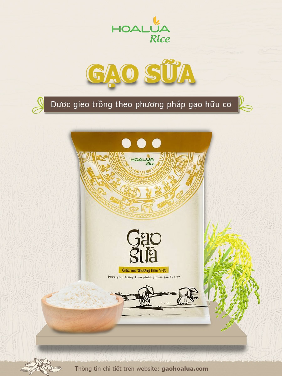 Gạo Sữa Hoa Lúa 5Kg