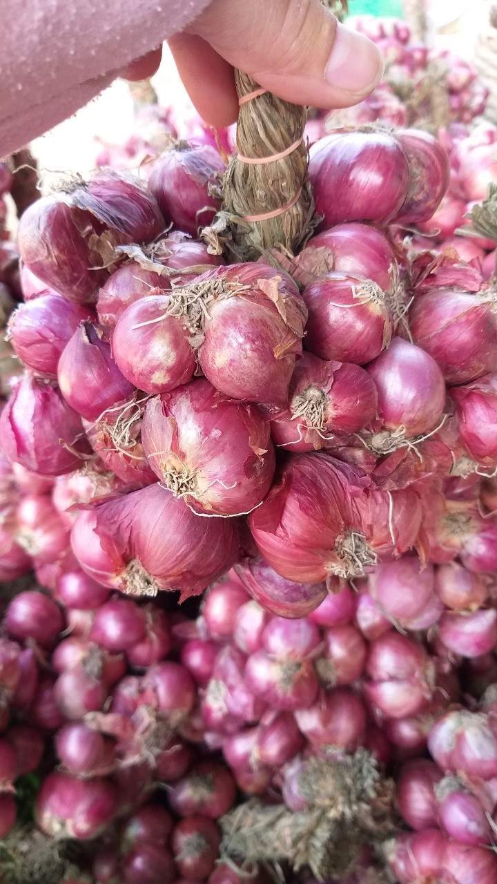 Hành tím Sóc Trăng 1kg
