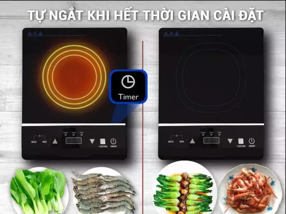 Bếp từ Rapido RI2000ES