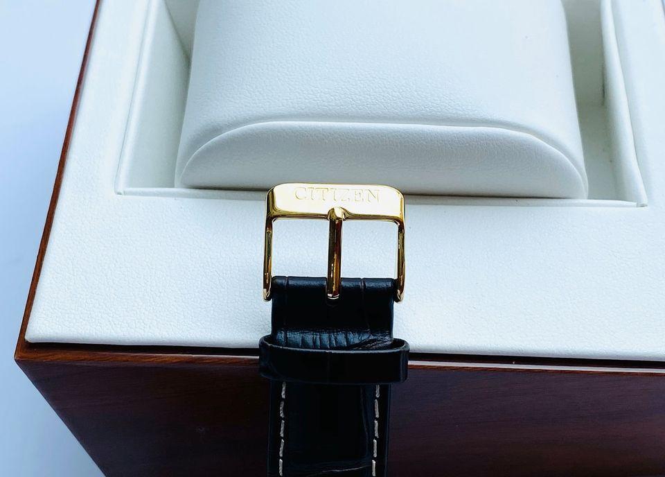 Đồng Hồ Nam Citizen BI1054-12E