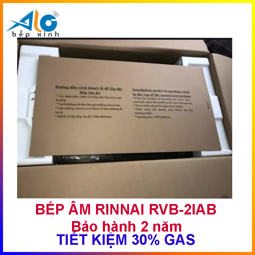 Bếp gas âm Rinnai RVB-2i
