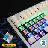Bàn phím Metoo X51 Mechanical Tenkeyless