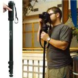 Chân Máy Ảnh Monopod Weifeng WT-1003
