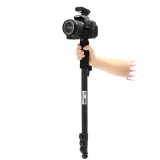 Chân Máy Ảnh Monopod Weifeng WT-1003