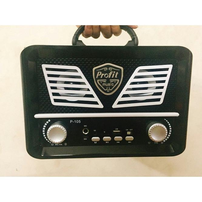 Loa bluetooth hát Karaoke Xách tay P105/P106