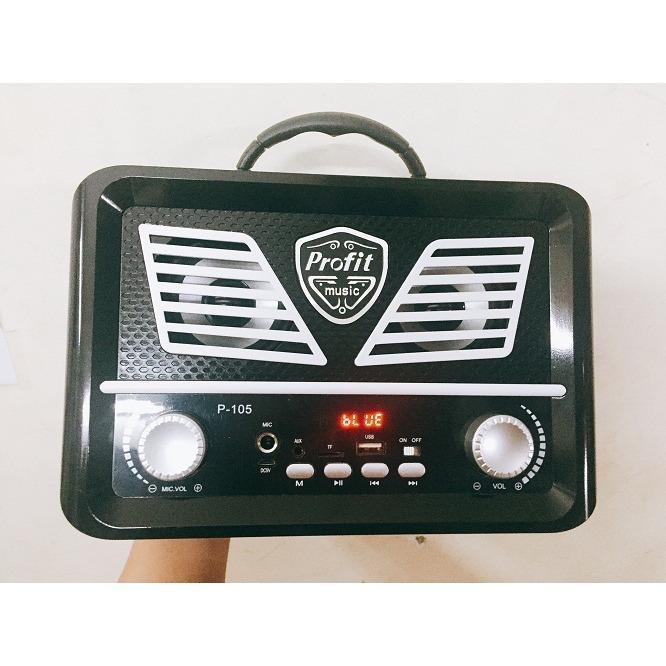 Loa bluetooth hát Karaoke Xách tay P105/P106