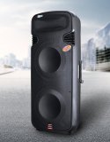 Loa di động Temeisheng A65