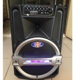 Loa Kéo Bluetooth TEMEISHENG Ronamax T15