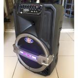 Loa Kéo Bluetooth TEMEISHENG Ronamax T15