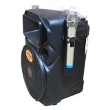 Loa Kéo Hát Karaoke SANSUI SA12-66