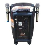 Loa Kéo Hát Karaoke SANSUI SA12-66
