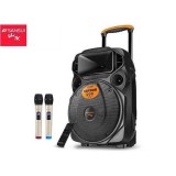 Loa Kéo Hát Karaoke SANSUI SA12-66