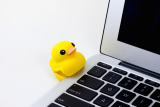 USB BONE Duck 16GB