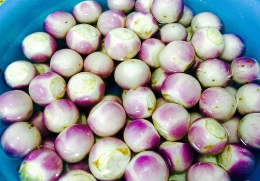 Hạt giống Cà Tím sọc