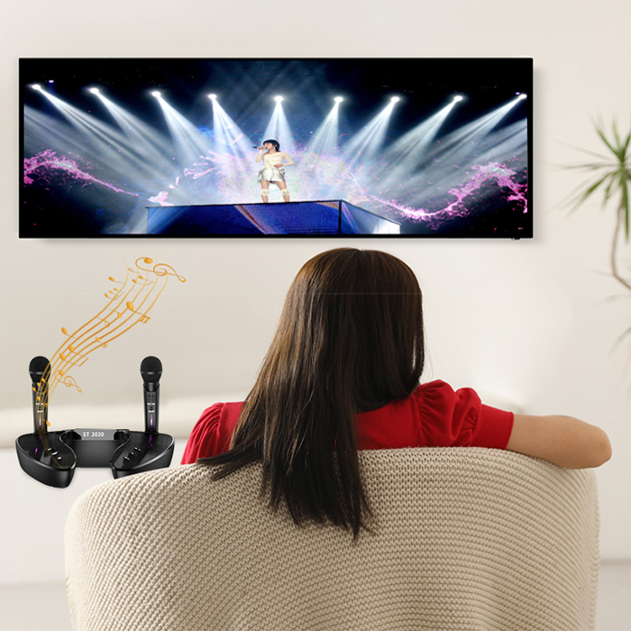 Loa Bluetooth Karaoke ST2020