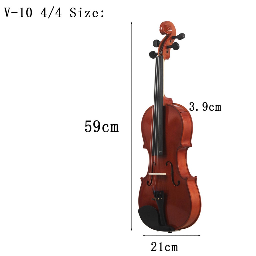 Đàn Violin Vines