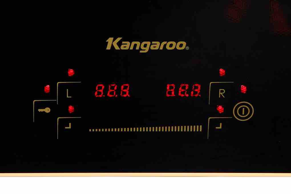 Bếp từ Kangaroo KG438I