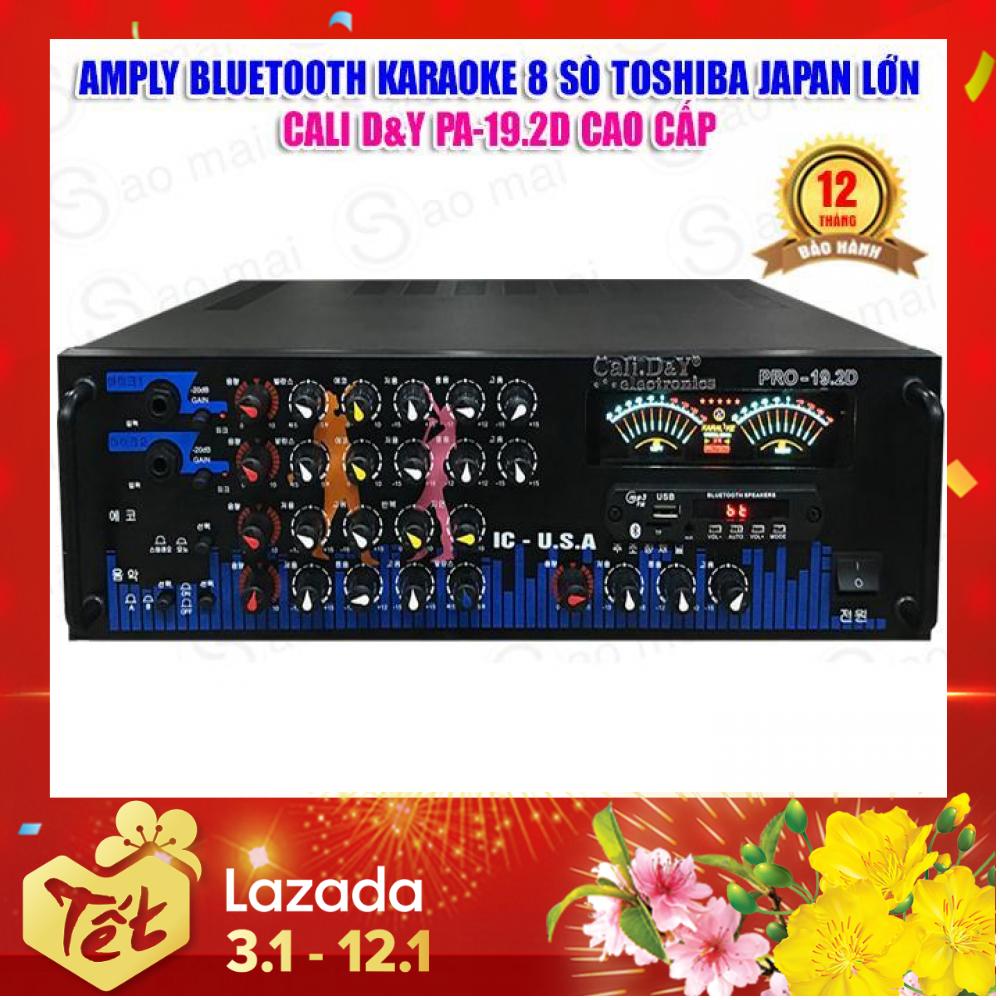 Amply Cali DY PRO 19.2D