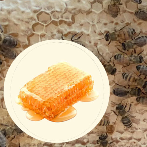 Mật Ong Chín Honimore 630ml