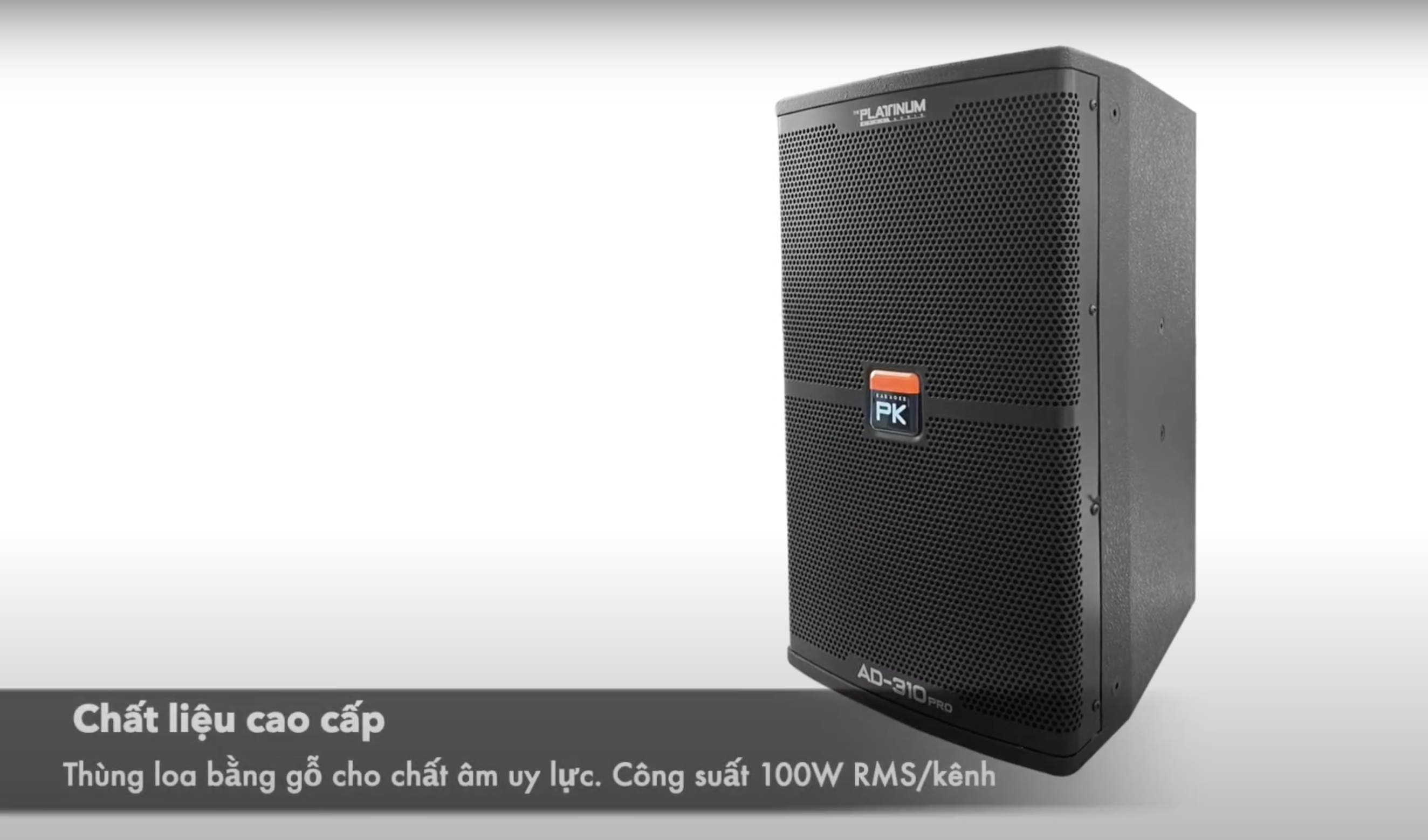Loa Platinum AD-310 Pro