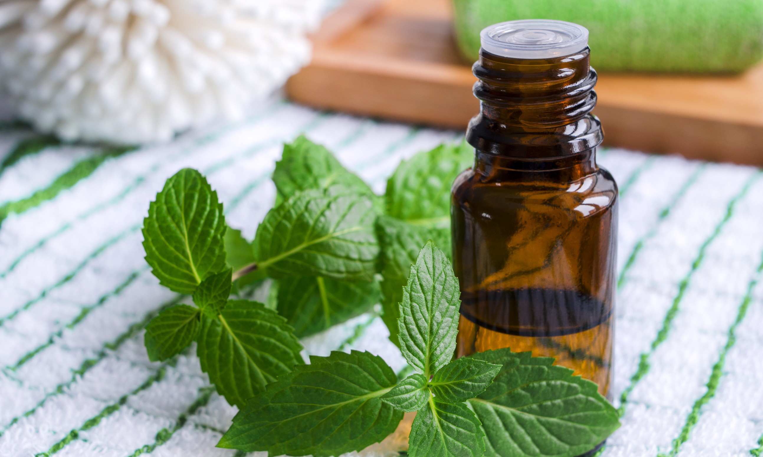 Tinh dầu Nature&Decouvertes Bạc hà
