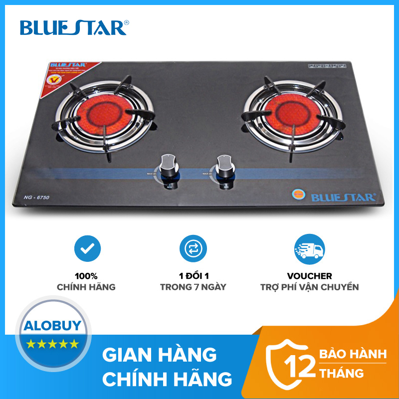 Bếp gas Bluestar NG-6750C