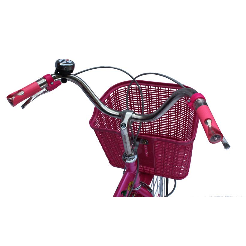 XE ĐẠP SMNBIKE WR 24-01