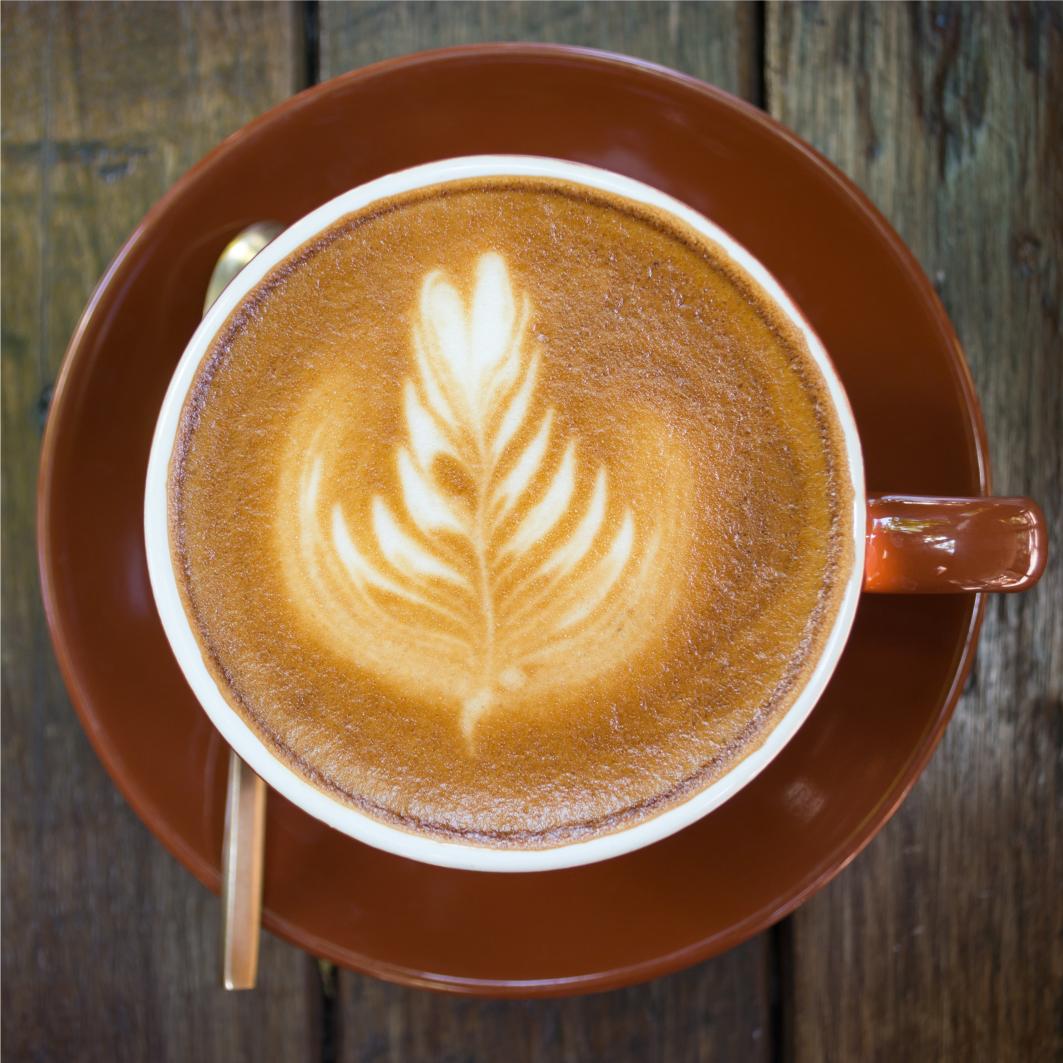 Cà phê Robusta Vien's cafe 500g
