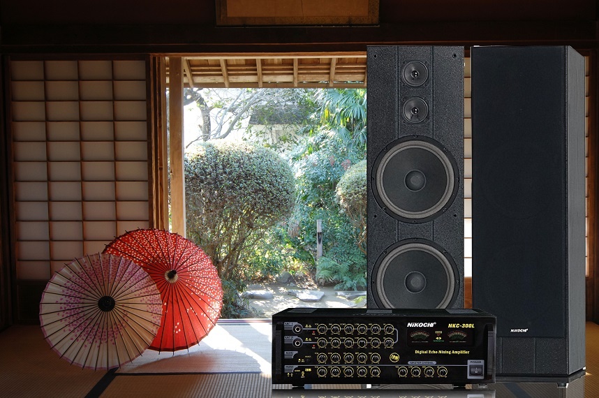 LOA ĐỨNG NIKOCHI NK-900