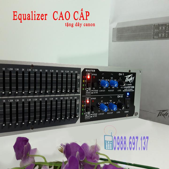 Bộ lọc tiếng Equalizer PEAVEY PV 231EQ