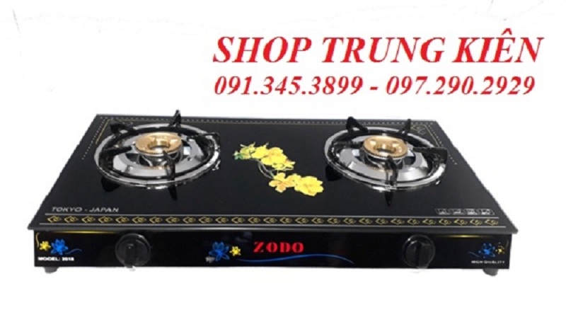 Bếp gas dương Zodo DT08